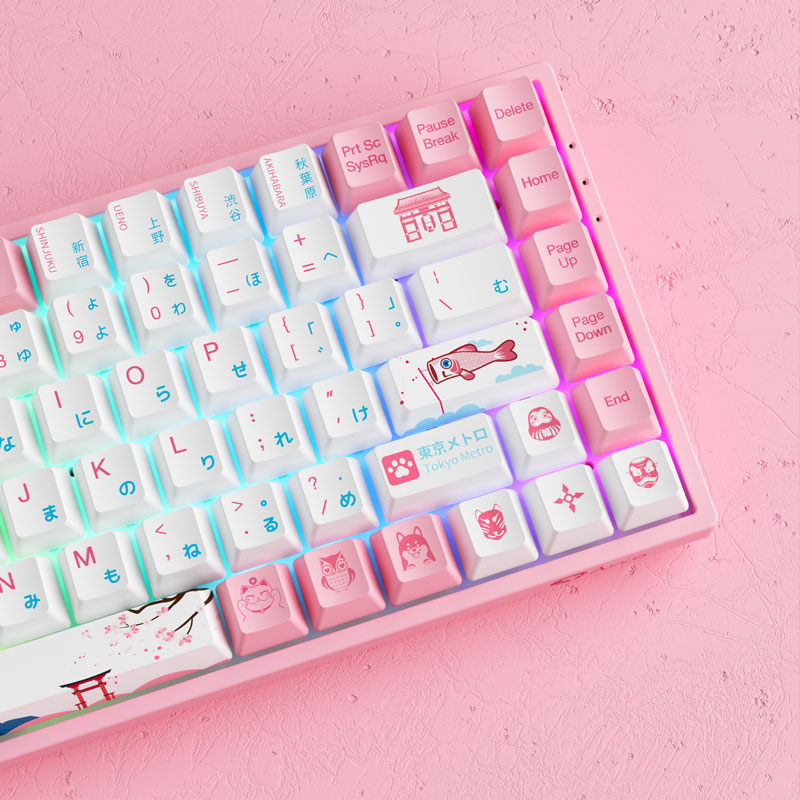 Bàn Phím Cơ Máy Tính Không Dây - AKKO 3084B Plus World Tour Tokyo R2| Bluetooth5.0| Wireless2.4Ghz| Hotswap| LED RGB| Foam Tiêu Âm| AKKO CS Jelly Pink Switch| Chuyên Game| Hàng Chính Hãng