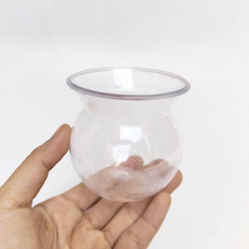Chậu trong suốt trồng cây xinh xắn, cây cẩm nhung trồng chậu, hạt đất nung nhiều màu rải chậu