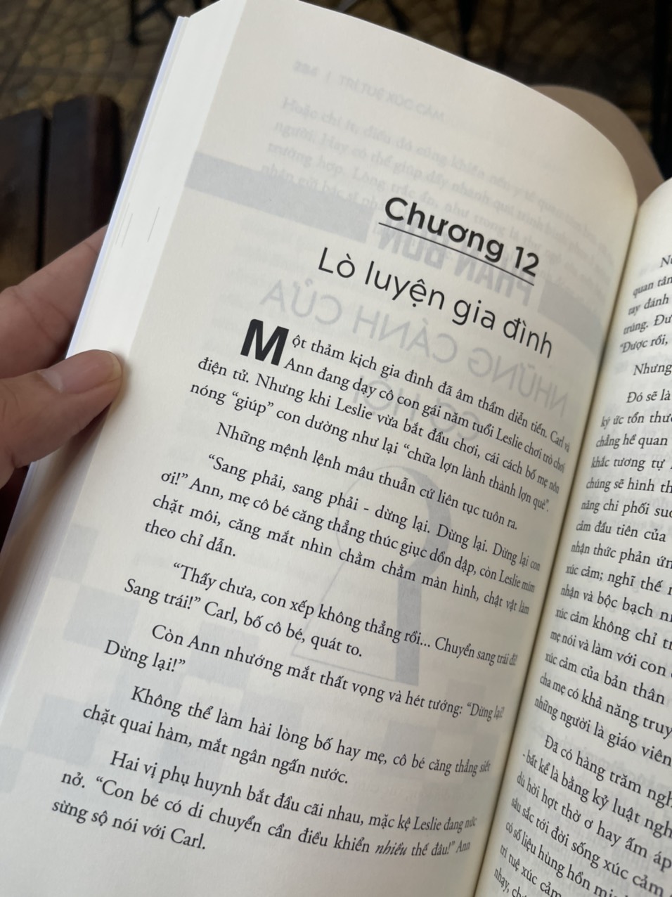 (The #1 Bestseller)  TRÍ TUỆ XÚC CẢM  - Lý giải tại sao người kém thông minh lại thành công hơn những người thông minh - Daniel Goleman - Nguyễn Lê Phương &amp; Phạm Thị Thu Hà dịch - Alphabooks -Nhà Xuất Bản Công Thương