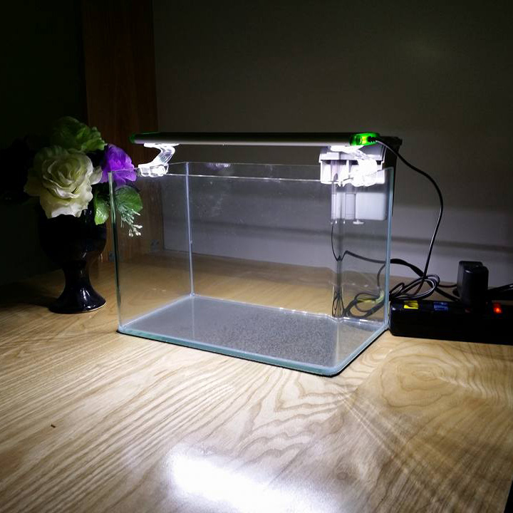 Bể Cá Mini -Hồ Kính Đúc Uốn cong 2 góc Kích thước: 40*23*25cm đầy đủ phụ kiện trang trí.