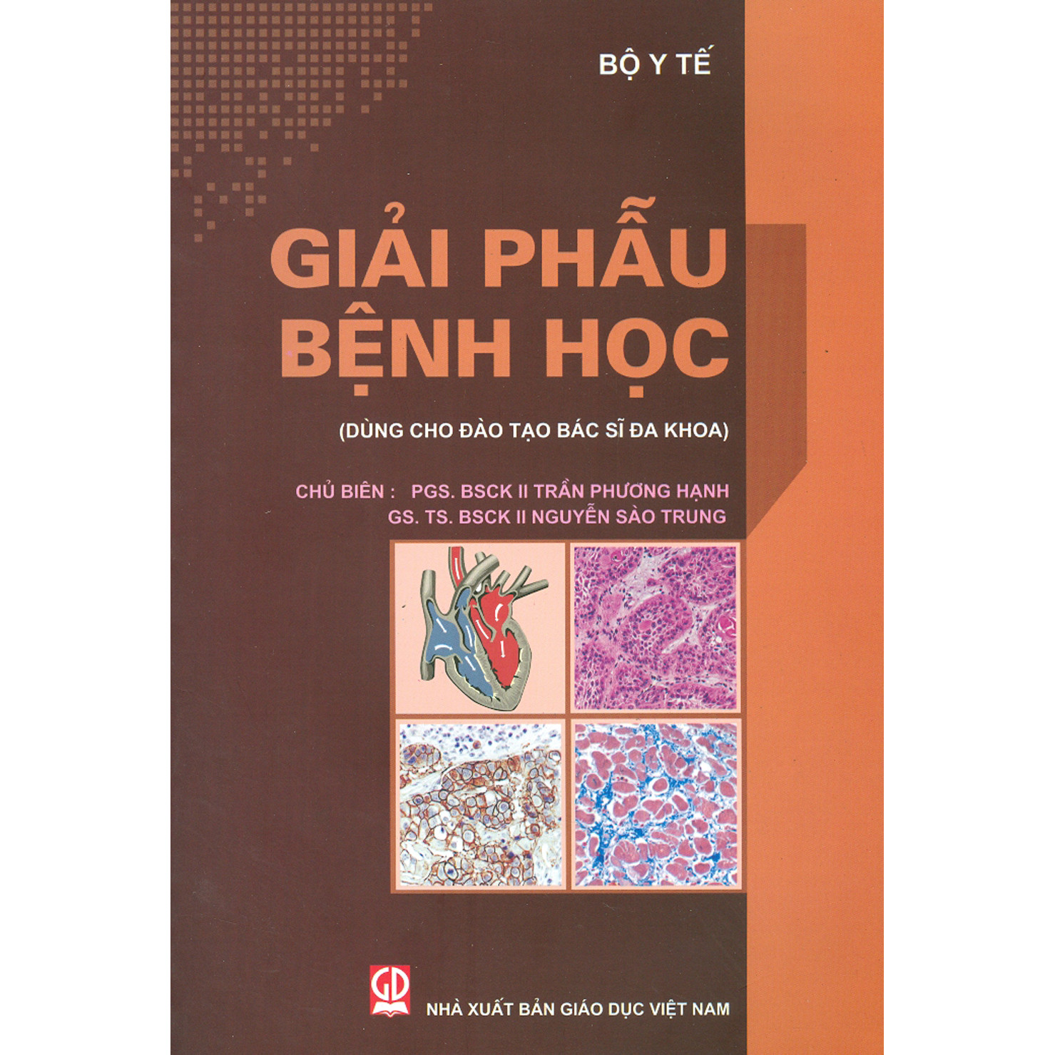 Giải Phẫu Bệnh Học (Dùng Cho Đào Tạo Bác Sĩ Đa Khoa)