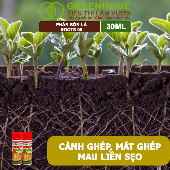 Phân Kích Rễ Cực Mạnh ROOTS 95, GreenHome, Chai 30ml, Kích Ra Rễ Cực Mạnh Chuyên, Cho Hoa Lan