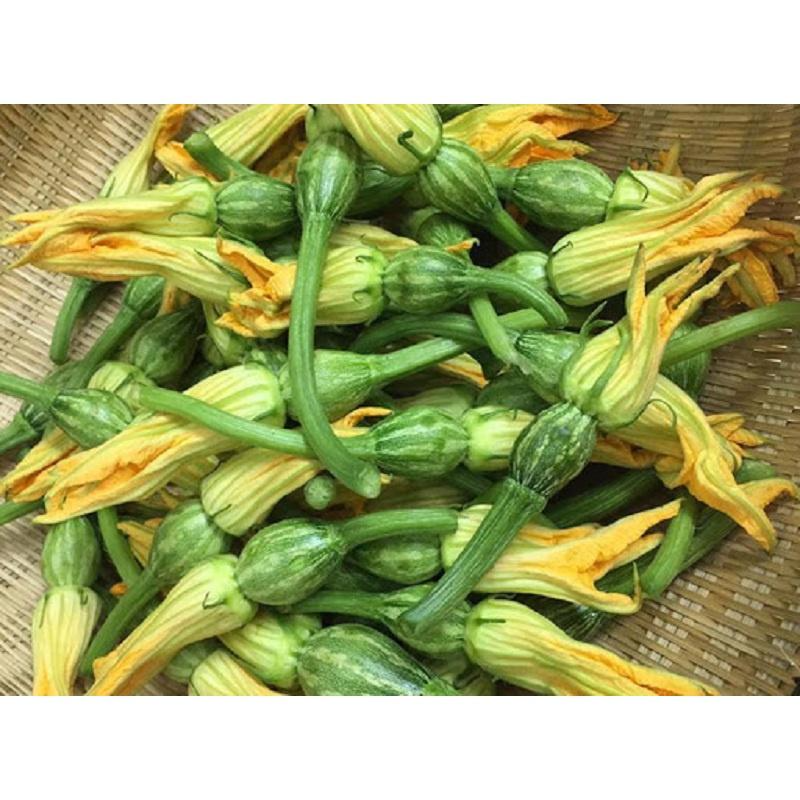 HẠT GIỐNG BÍ SIÊU QUẢ NON - GIỐNG TỐT