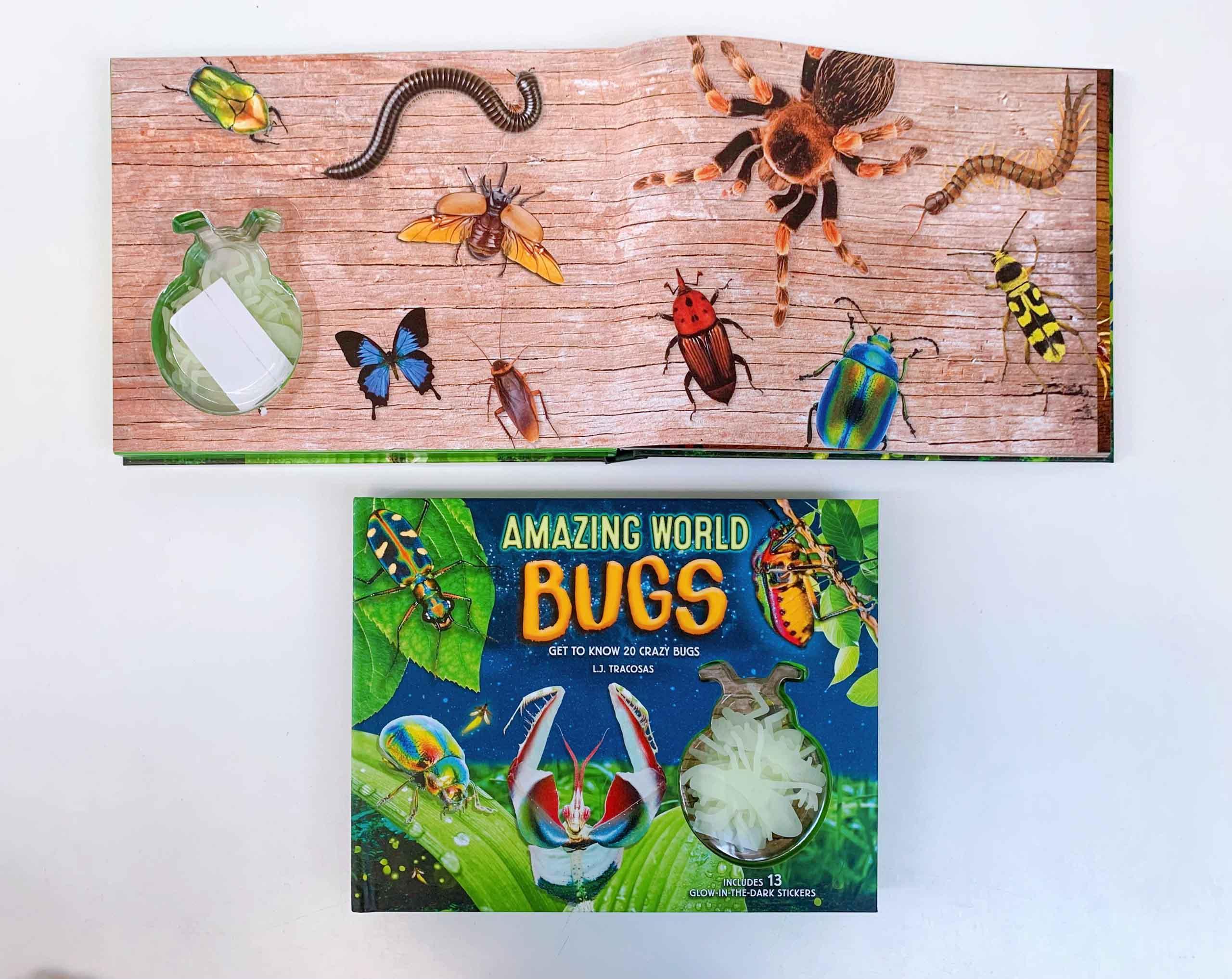 Amazing World: Bugs : Get To Know 20 Crazy Bugs