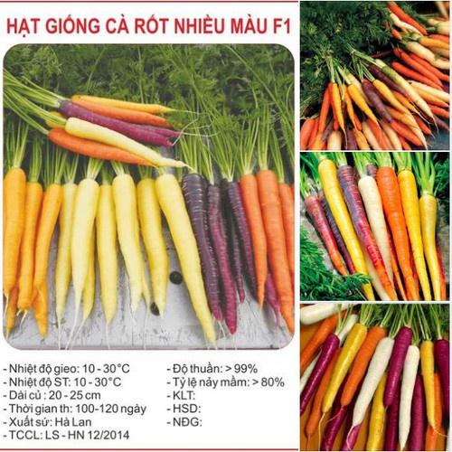 Hạt giống cà rốt mix màu chịu nhiệt - 1 gói 100 hạt
