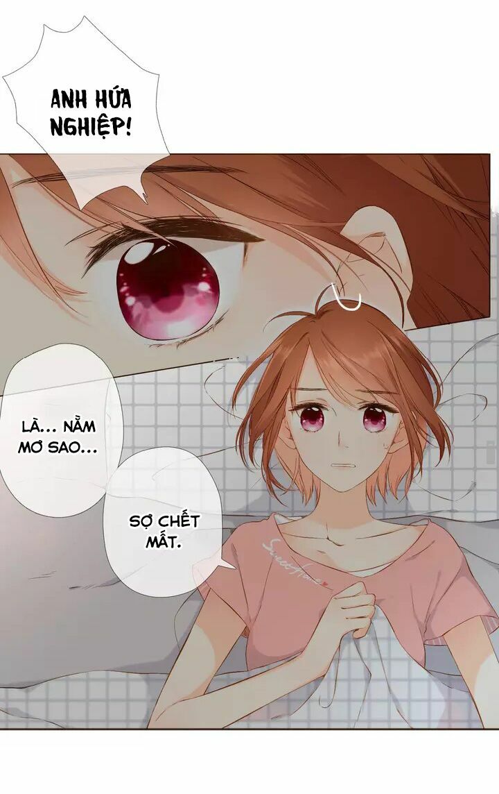 Tình yêu là màu hoa anh thảo chapter 35.2 4