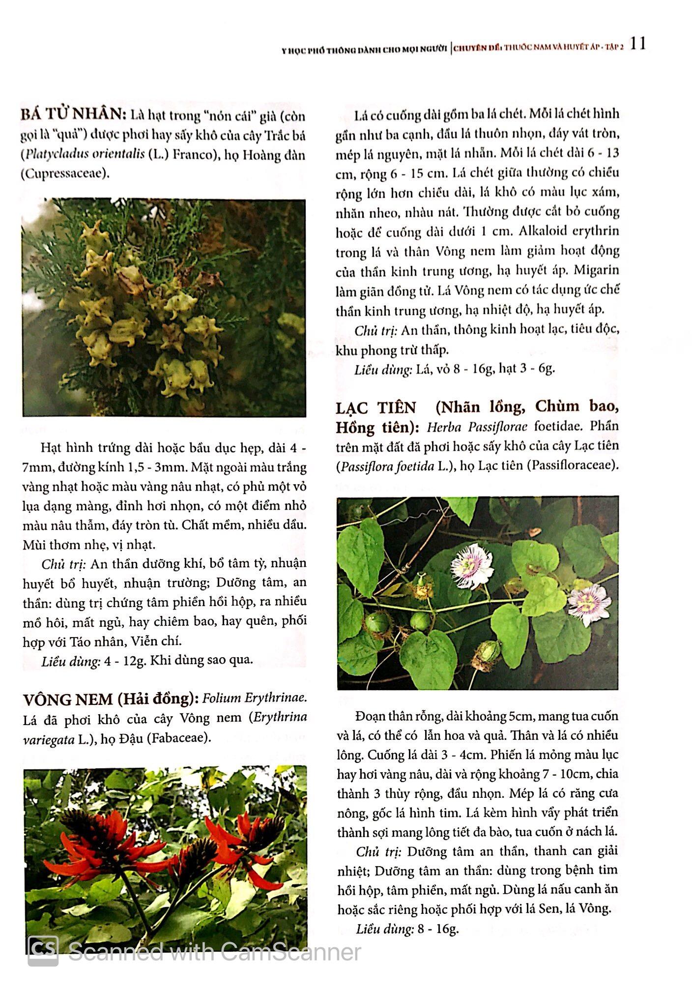 Y Học Phổ Thông - Thuốc Nam Và Huyết Áp (Tập 2)