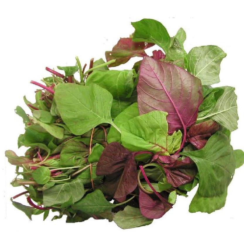 Combo 3 gói hạt giống rau dền khoang -gói 20gram- tặng kèm 1 gói phân bón-ABC