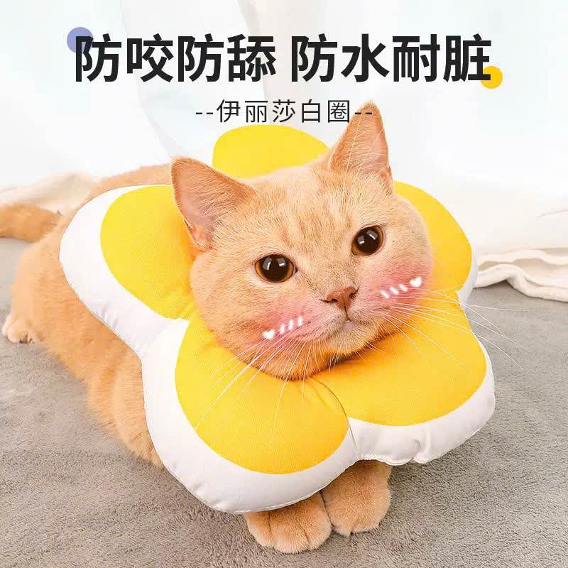VÒNG CỔ THÚ CƯNG VÒNG CỔ LOA CHỐNG LIẾM CHO THỎ CHÓ MÈO BÔNG HOA DỄ THƯƠNG TỪ 0.5-5.5KG MÃ 10 CHO CHÓ MÈO THỎ