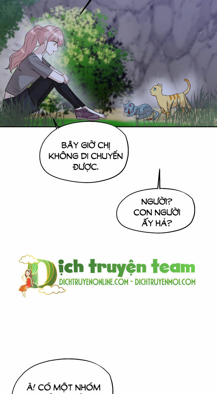 cuộc sống kỳ thú chapter 97 17