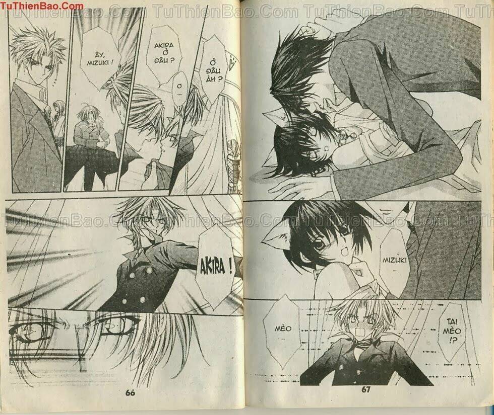 mối tình hoa hồng xanh chapter 4 27