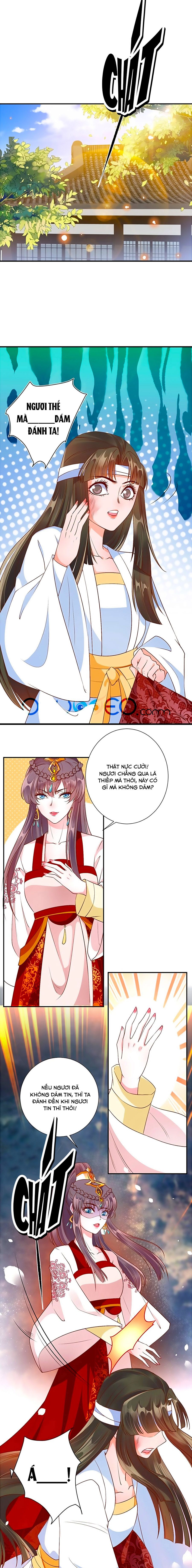 thịnh thế lê hoa điện chapter 66 1