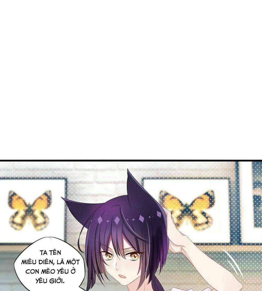 làm mèo của ta chapter 6 34