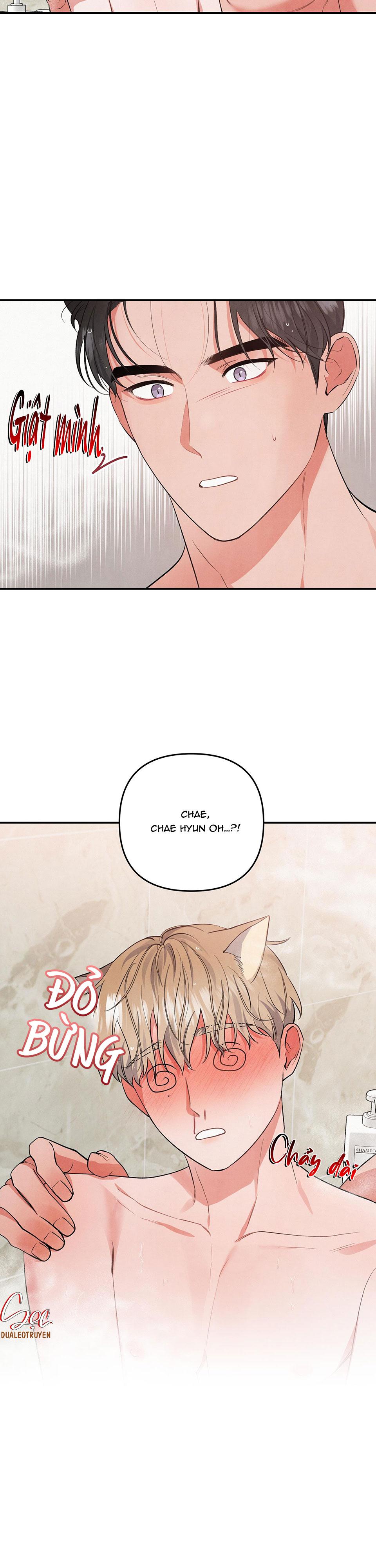 mối quan hệ của thú nhân chapter 52 22