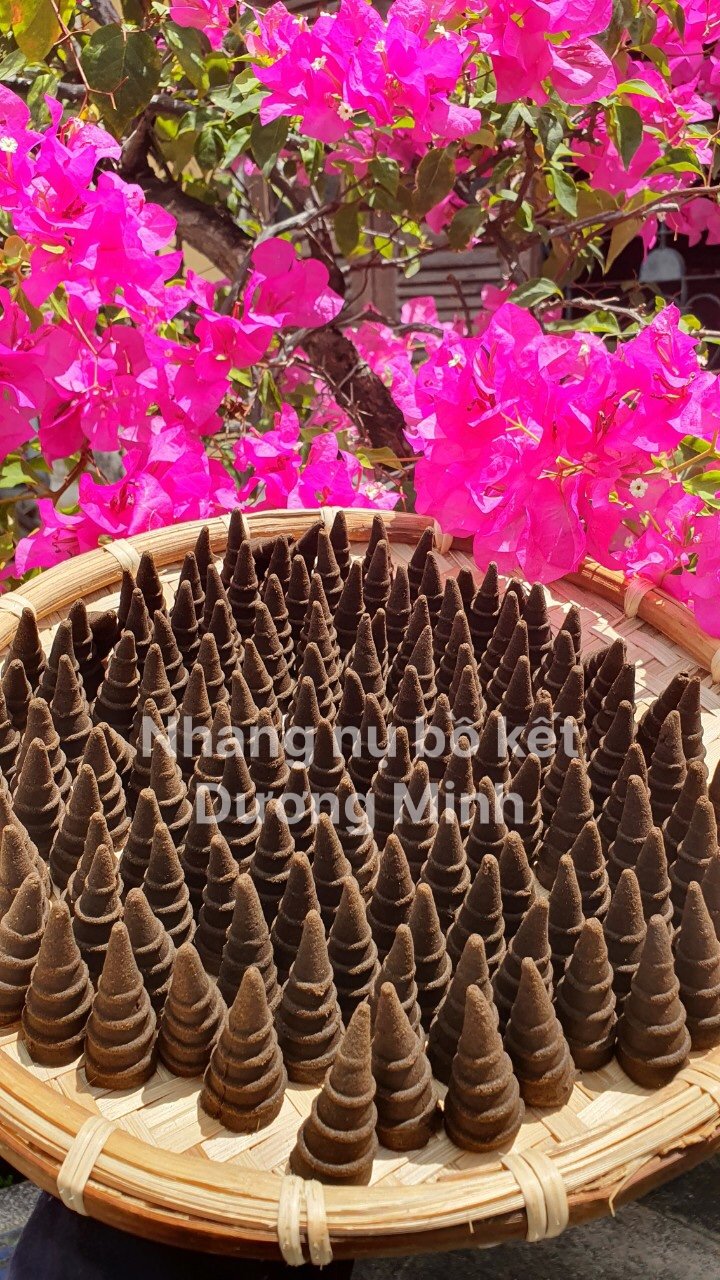 Nhang nụ Bồ Kết đuổi muỗi xông nhà Dương Minh 100% thành phần tự nhiên hương không hóa chất nhang nụ thảo mộc khử khuẩn