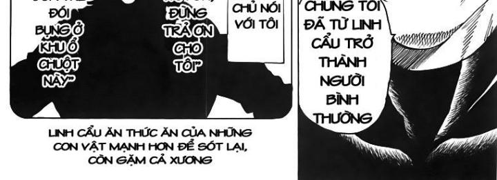 thánh tỏi sành ăn chapter 74 23