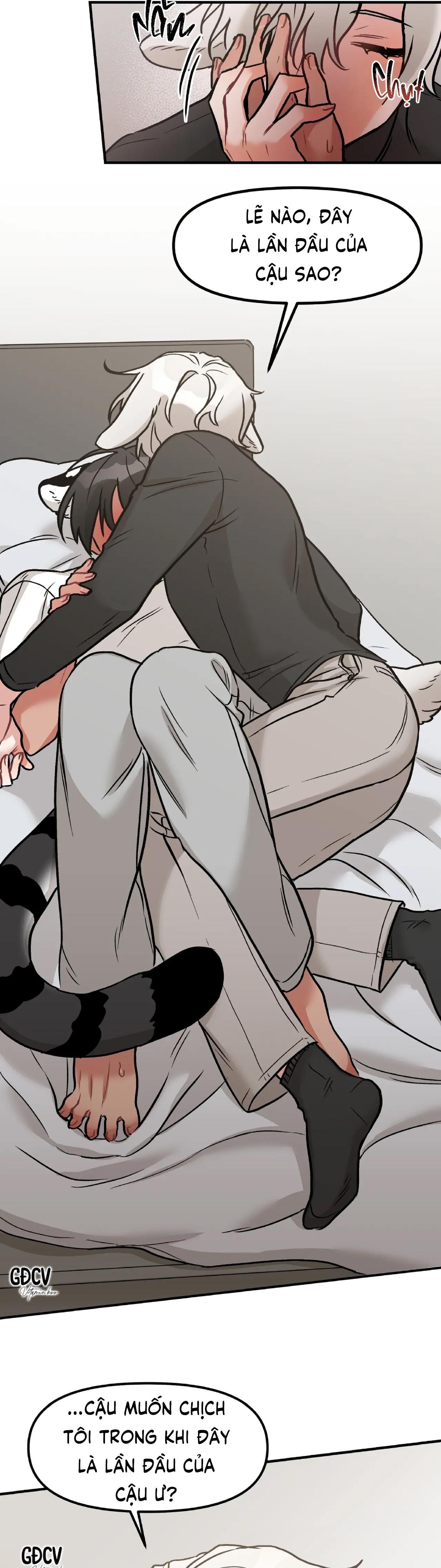 thưa ngài hổ, tôi đã ăn rất ngon miệng chapter 1 31