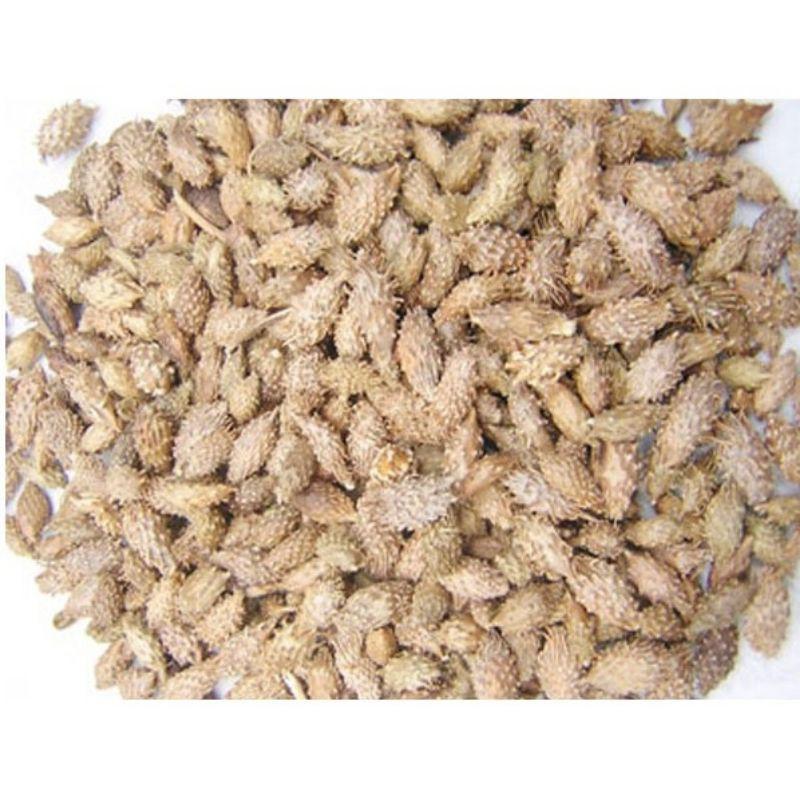 Quả Ké Đầu Ngựa Khô 1kg