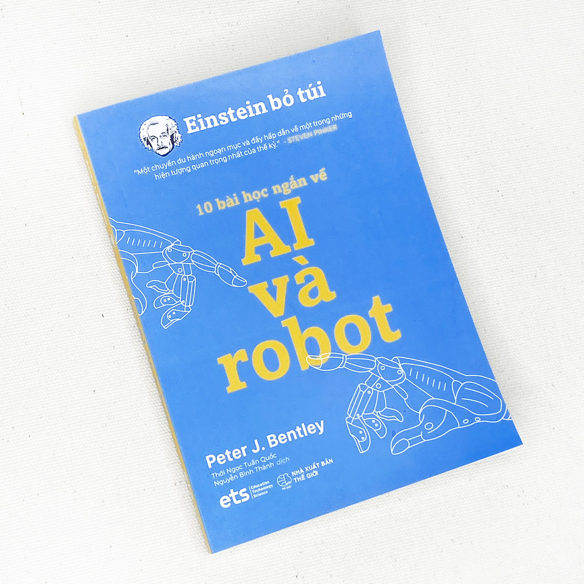 Sách - Einstein Bỏ Túi: 10 Bài Học Ngắn Về Ai Và Robot