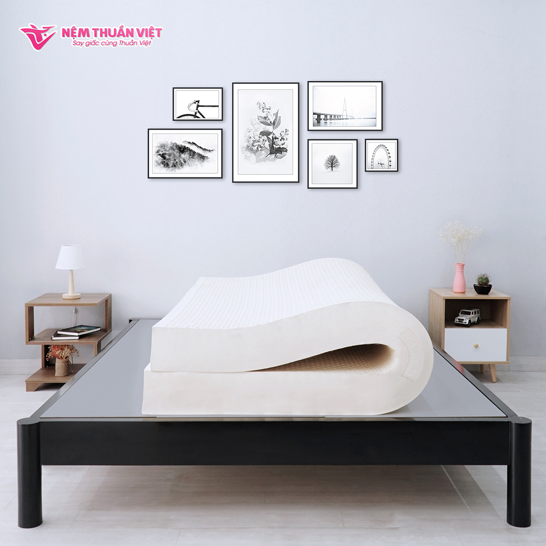 Nệm Cao Su Thuần Việt Legacy Định Hình, Nâng Đỡ Cơ Thể Vượt Trội