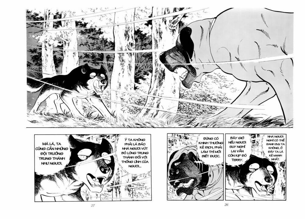 chú chó có nghĩa - ginga nagareboshi gin chapter 31 27
