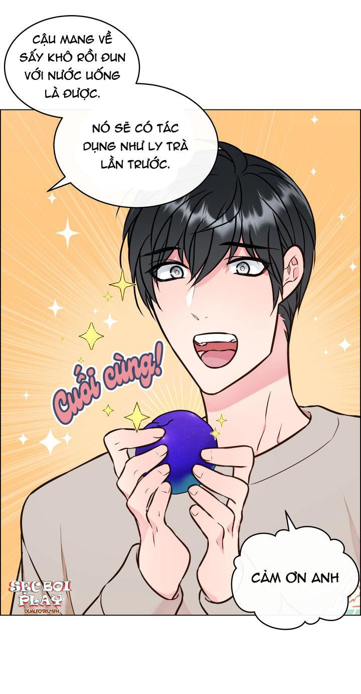 thực vật trị liệu chapter 3 27