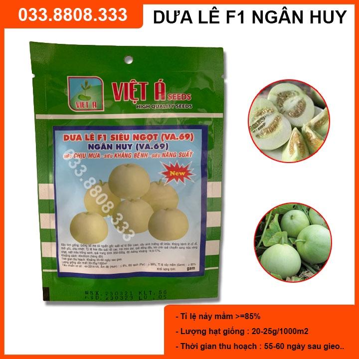 Hạt giống Dưa Lê Siêu Ngọt Ngân Huy – 10GRAM - Dưa siêu năng suất