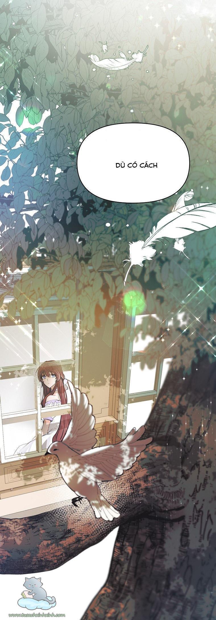 tháng năm cuối cùng của nữ phụ đoản mệnh chapter 2 51