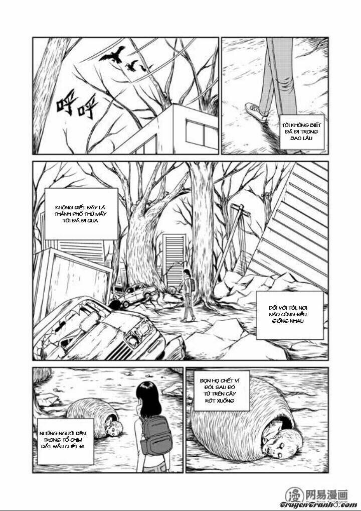 tổ chim chapter 1 29