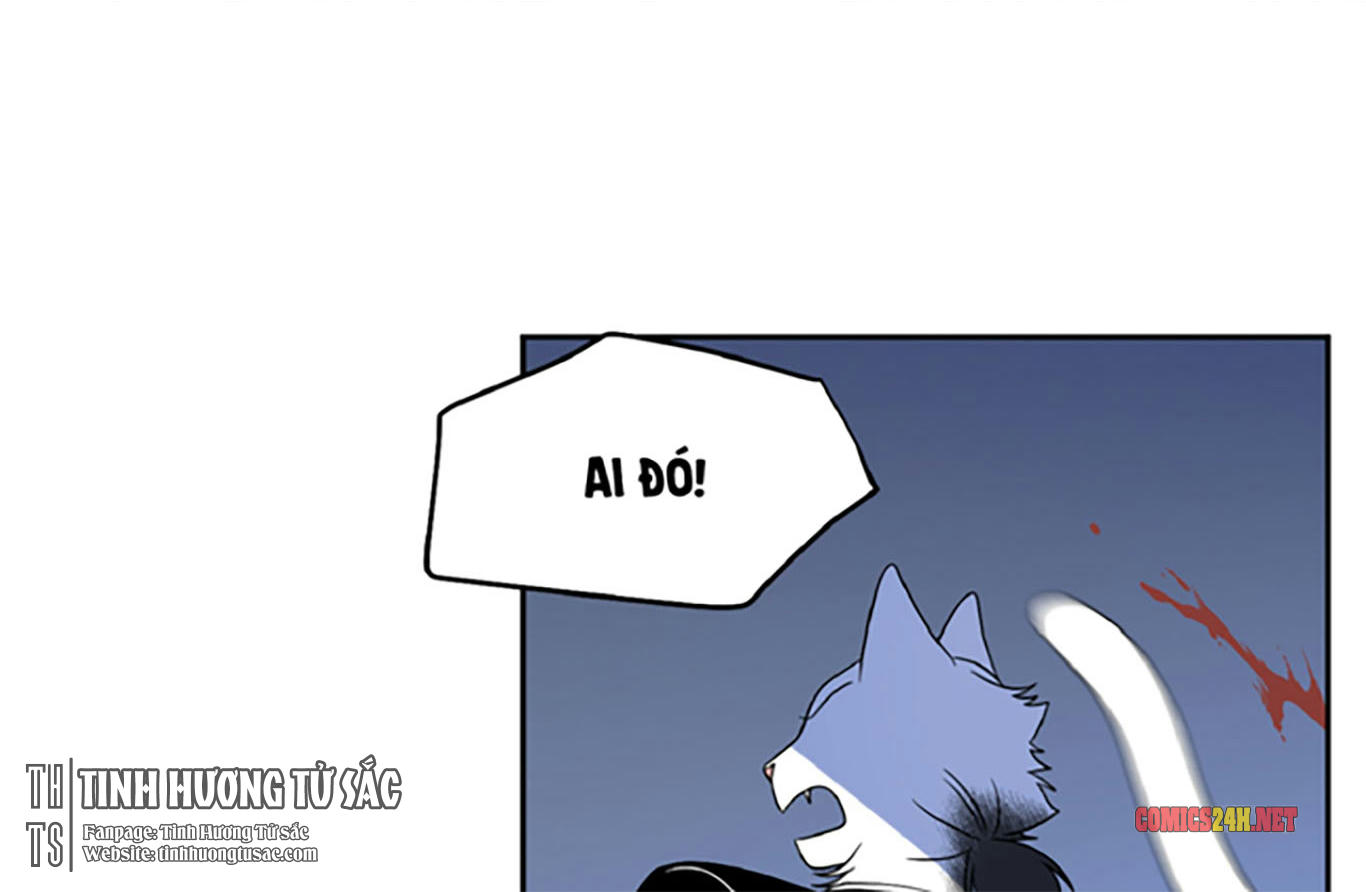 dự án xanh chapter 18 62