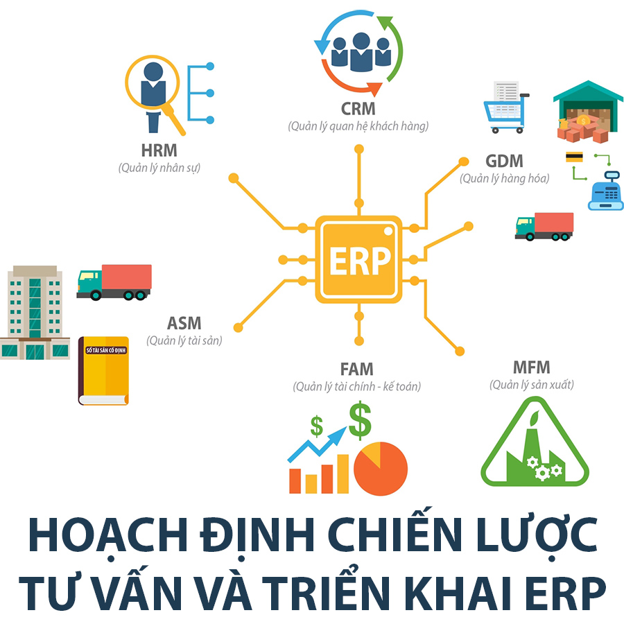 Khóa Học Hoạch Định Chiến Lược, Tư Vấn Và Triển Khai ERP