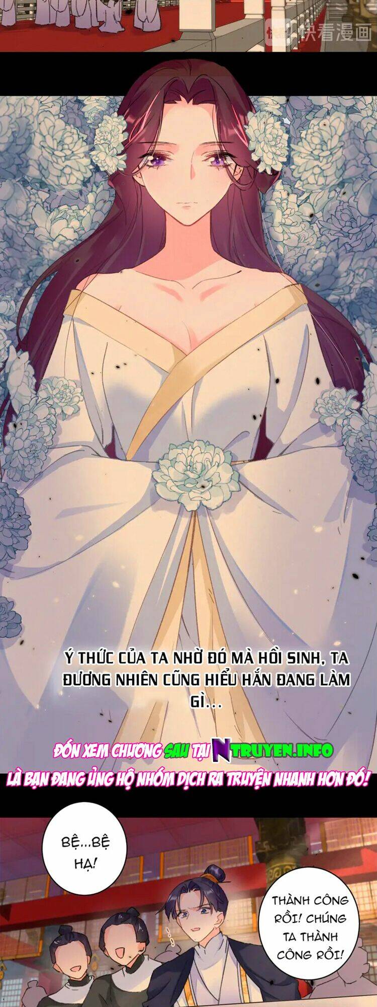 hoa nhan sách chapter 215 7