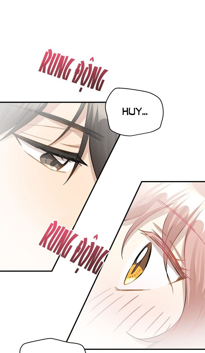 cuộc sống kỳ thú chapter 35 41