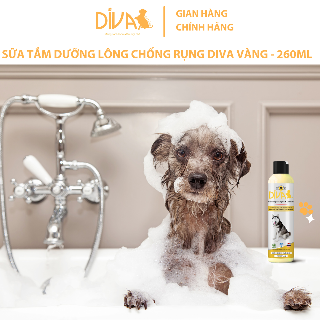 SỮA TẮM DƯỠNG LÔNG GIẢM RỤNG DIVA VÀNG 260ML (DIVA FORMULA 4)