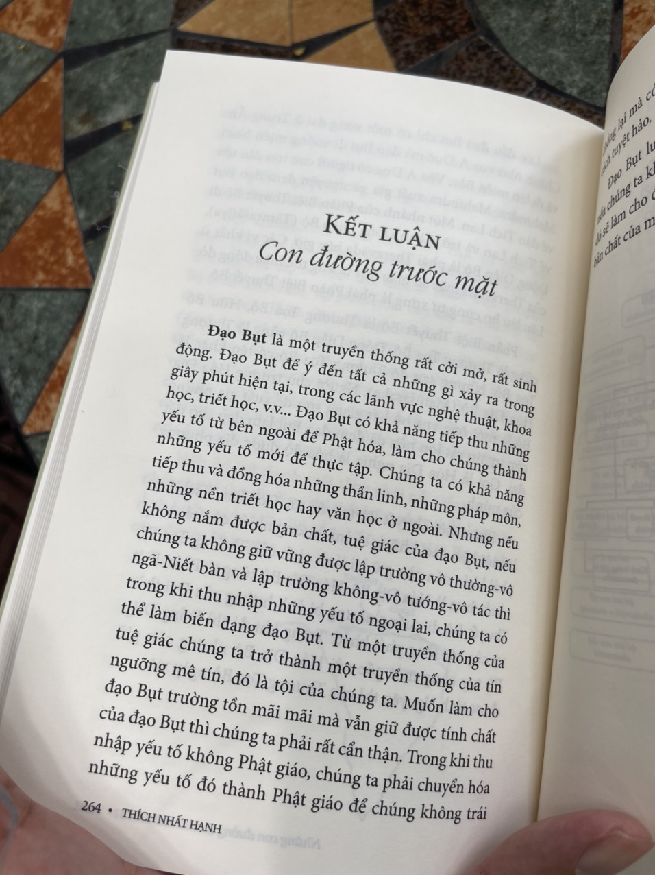 NHỮNG CON ĐƯỜNG ĐƯA VỀ NÚI THỨU - Thích Nhất Hạnh - Phương Nam Book