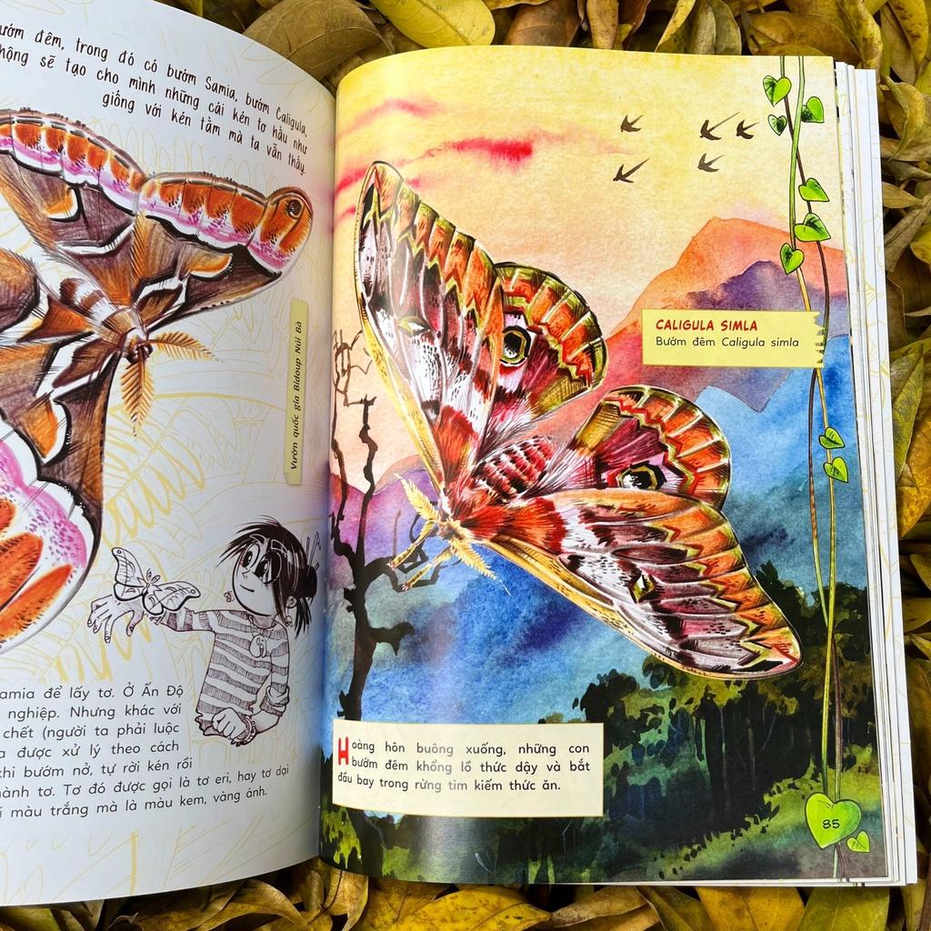 Sách - Bộ Sinh vật học kỳ thú - Những cư dân tí hon của rừng Việt Nam