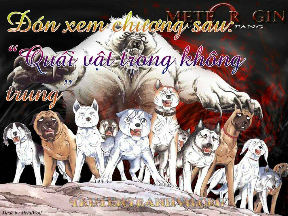 chú chó có nghĩa - ginga nagareboshi gin chapter 16 42