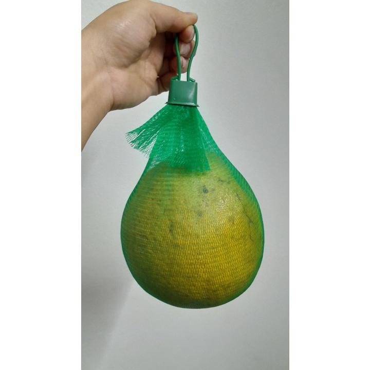 4 kg túi lưới đựng hoa quả, hành tỏi