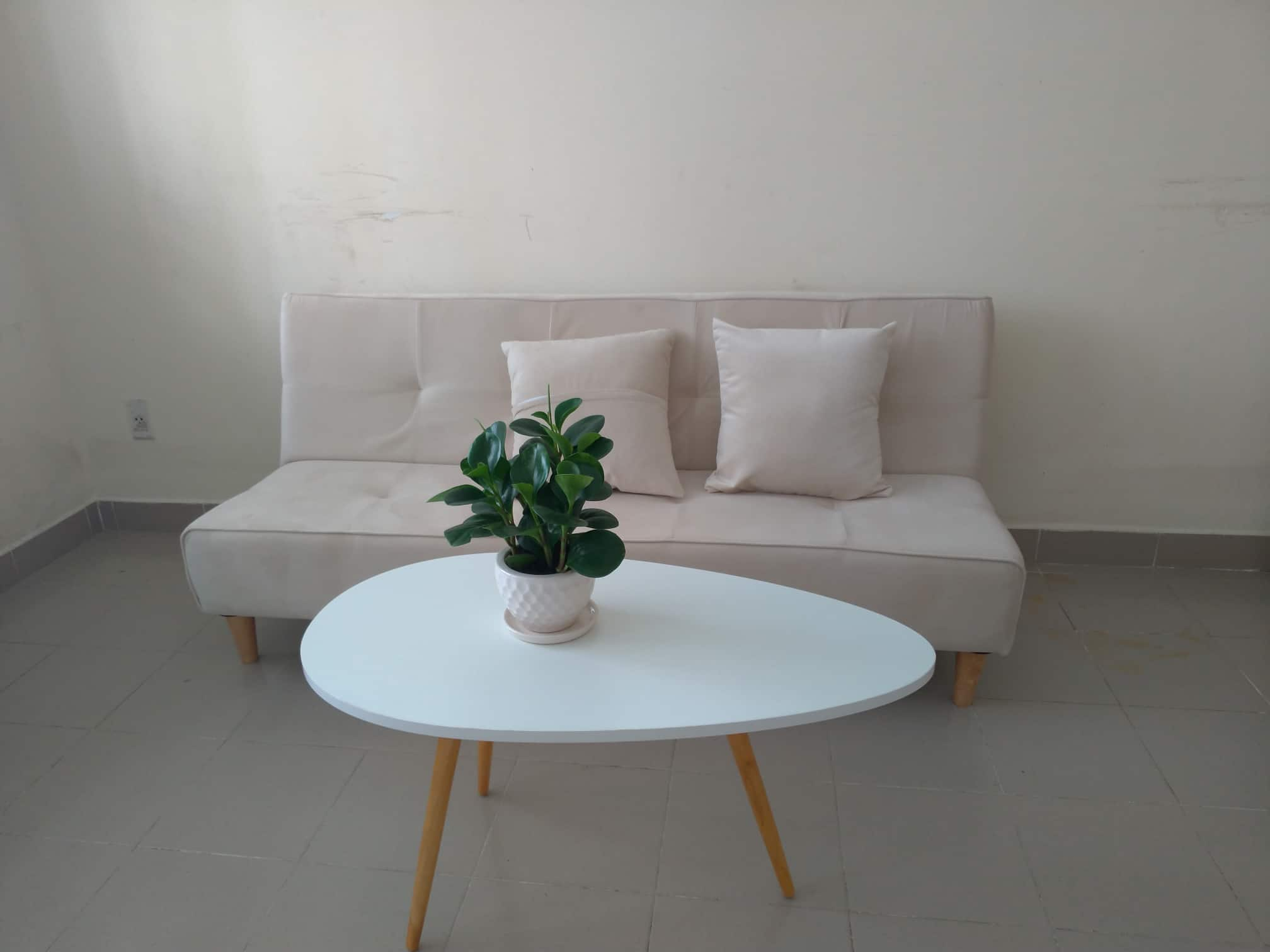 Combo Bàn Trà Sofa Chân Gỗ Sồi Cao Cấp