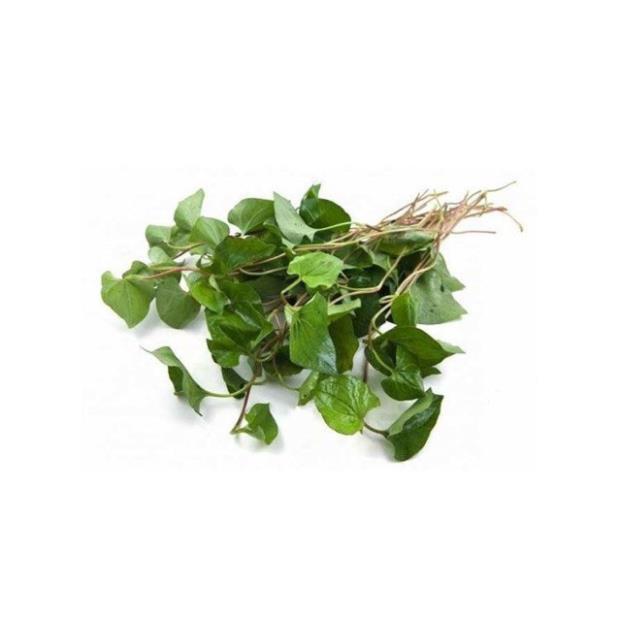 3 cây diếp cá nhỏ- giao hàng 7 ngày