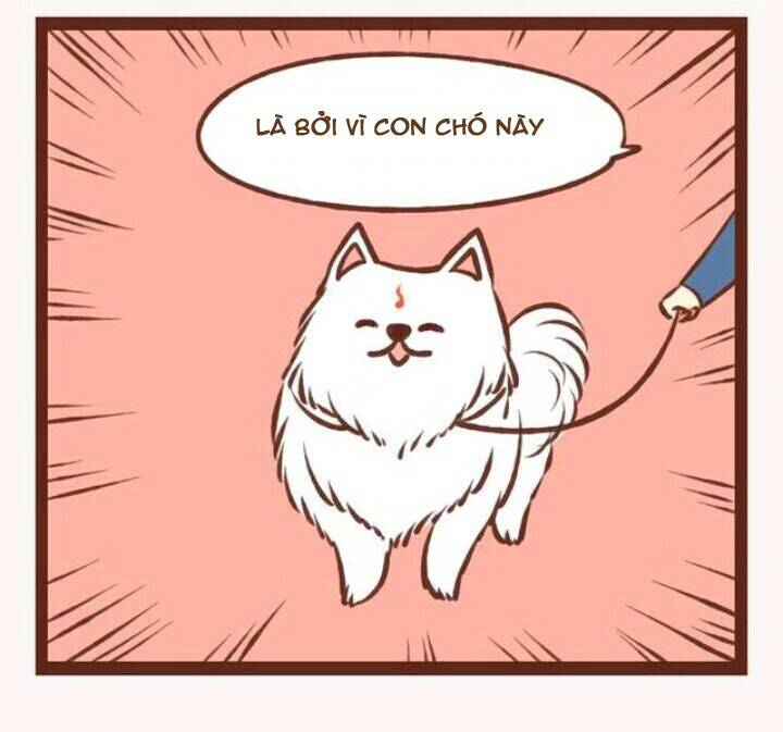 thần thú ly tán chapter 4 33