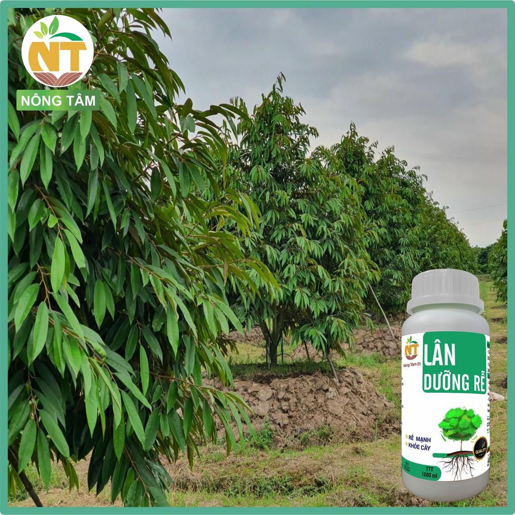 Phân bón siêu dưỡng rễ, kích rễ, chuyên dùng cho rau màu, cây ăn quả, chai 1000ml