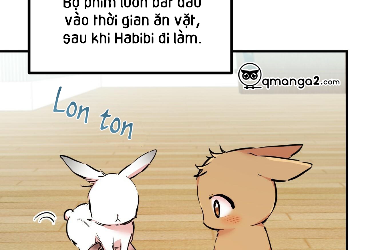 đàn thỏ của habibi chapter 28 153