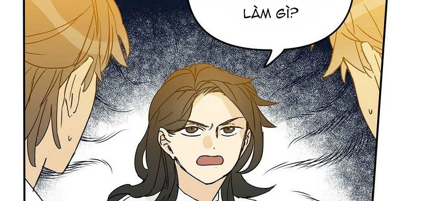 guide cấp b chapter 1 111