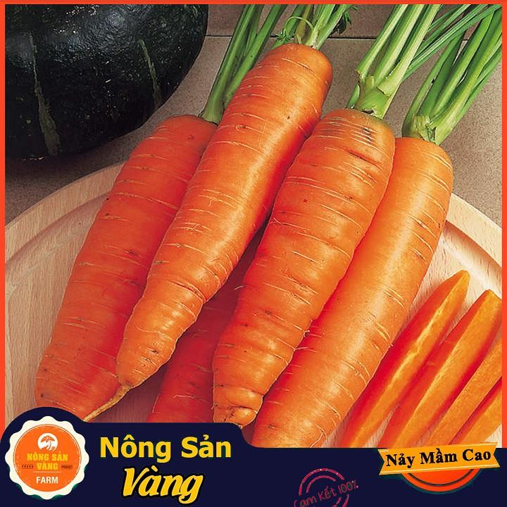 Hạt giống Cà Rốt Củ To F1