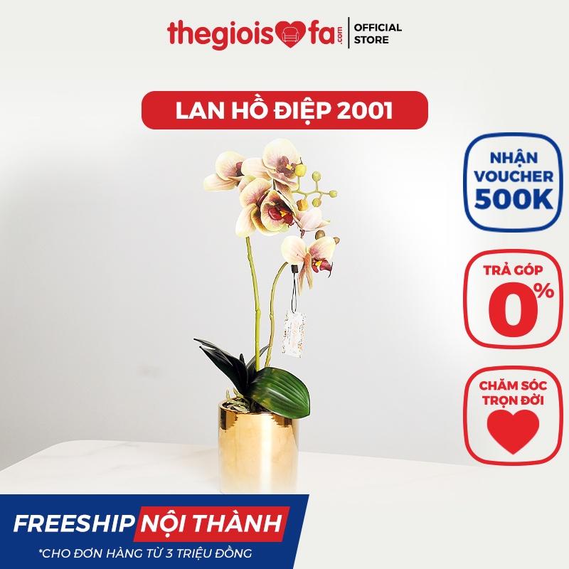 Bình hoa thuỷ tinh phong cách Bắc Âu Orchid 2001