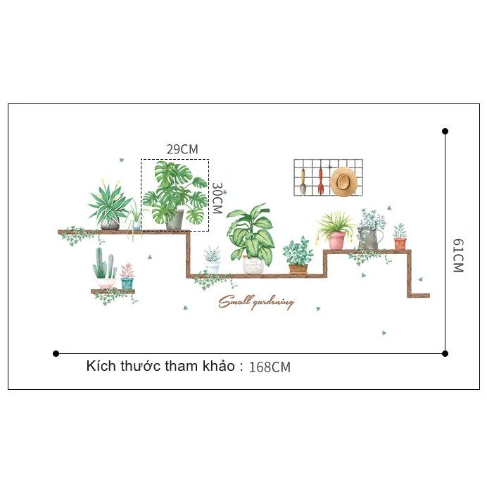 Decal trang trí tường - Kệ gỗ cùng những chậu cây xinh