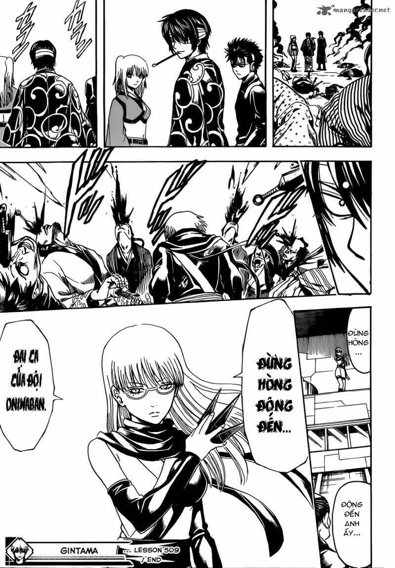 gintama - linh hồn bạc chapter 509 20
