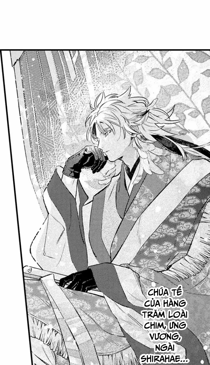 điểu thượng minh hoa chapter 1.2 7