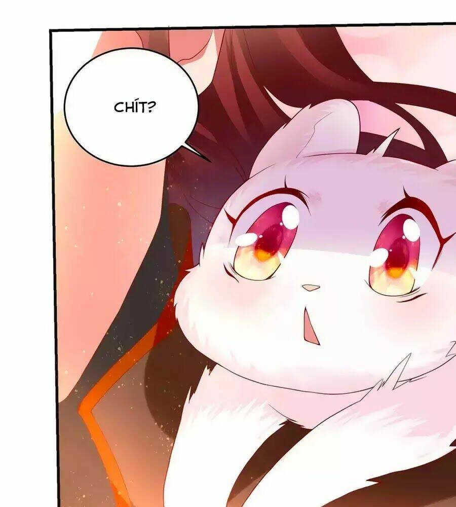 dưỡng thú vi phi chapter 6 60